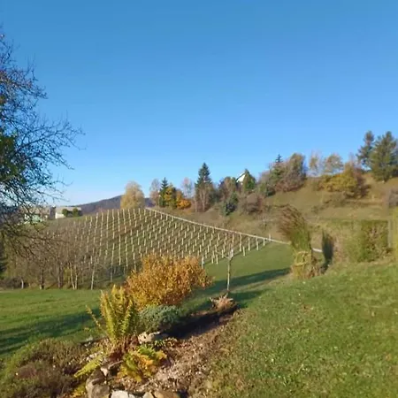 Pocitniska Hisa Perme * Šentjanž
