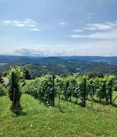 Pocitniska Hisa Perme 公寓 Šentjanž